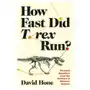 How Fast Did T. rex Run? – Unsolved Questions from the Frontiers of Dinosaur Science Sklep on-line