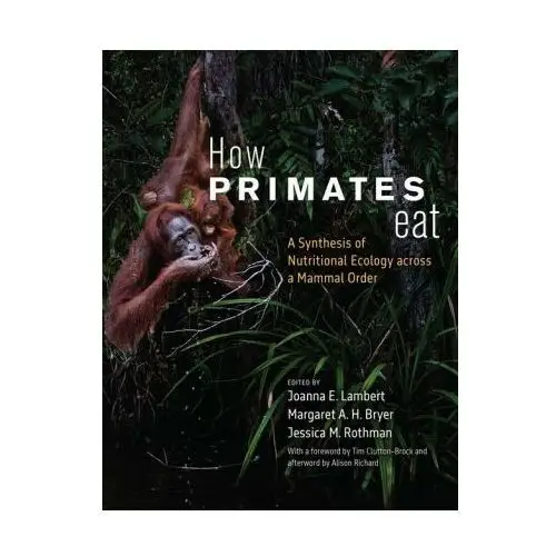 How Primates Eat – A Synthesis of Nutritional Ecology across a Mammal Order