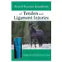 Howell Equine Handbook of Tendon and Ligament Injuries Sklep on-line