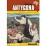 Antygona. lektura z opracowaniem Ibis Sklep on-line