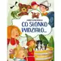 Co słonko widziało Ibisbooks Sklep on-line