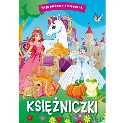 Moje pierwsze kolorowanki. księżniczki Ibis/books