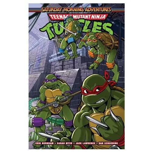 Idea & design works llc Teenage mutant ninja turtles: saturday morning adventures, vol. 3