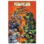 Idea & design works llc Teenage mutant ninja turtles vs. street fighter Sklep on-line