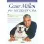 Jak uszczęśliwić psa - cesar millan Sklep on-line