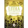 Litha - wysyłka od 3,99 - porównuj ceny z wysyłką Illuminatio Sklep on-line