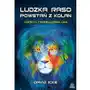 Illuminatio Ludzka raso, powstań z kolan 2. przebudzenie lwa Sklep on-line