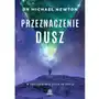 Przeznaczenie dusz. w poszukiwaniu życia po życiu Illuminatio Sklep on-line