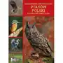 Ilustrowana Encyklopedia Ptaków Polski. Przewodnik Ornitologa Sklep on-line