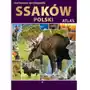 Ilustrowana encyklopedia ssaków Polski Sklep on-line