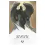 Spawn: origins volume 13 Image comics Sklep on-line