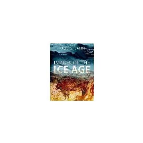 Images of the Ice Age