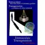 Immaculate Transgression - ebook EPUB Sklep on-line