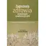 Zagrożenia zdrowia chorobami cywilizacyjnymi Impuls Sklep on-line