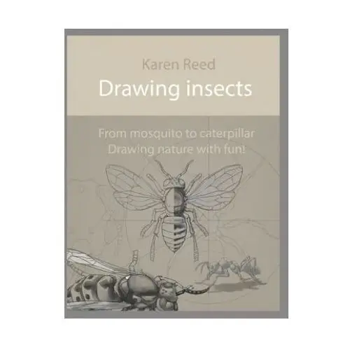 Drawing insects: From mosquito to caterpillar. Drawing nature with fun