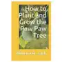 How to Plant and Grow the Paw Paw Tree Sklep on-line