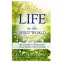 Life in the spirit world: what near-death experiences may teach about life on the other side Independently published Sklep on-line