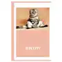 Meow: The book for cats Sklep on-line