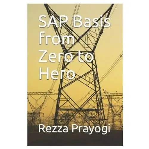 Independently published Sap basis from zero to hero