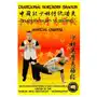 Shaolin Martial QiGong - Shaolin DaMo Yi Jin Jing Sklep on-line