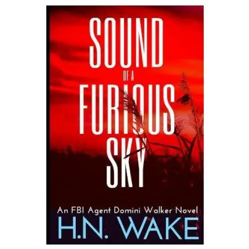 Sound of a Furious Sky: FBI Agent Domini Walker Book 1