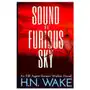 Sound of a Furious Sky: FBI Agent Domini Walker Book 1 Sklep on-line