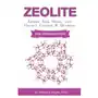 Zeolite: Improve Your Health with Nature's Cleanser and Detoxifier Sklep on-line