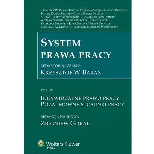 Indywidualne prawo pracy. Pozaumowne stosunki pracy. System prawa pracy. Tom 4