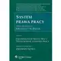 Indywidualne prawo pracy. Pozaumowne stosunki pracy. System prawa pracy. Tom 4 Sklep on-line