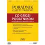 Co grozi podatnikom za błędy w rozliczaniu vat w 2017 r. (pgp 3/2017) Infor pl Sklep on-line