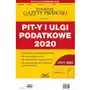 Pit-y i ulgi podatkowe 2020 Sklep on-line