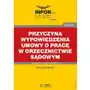 Przyczyna wypowiedzenia umowy o pracę w orzecznictwie sądowym, 977D15C1EB Sklep on-line