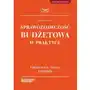 Sprawozdawczość budżetowa w praktyce, 2A3EFF2DEB Sklep on-line