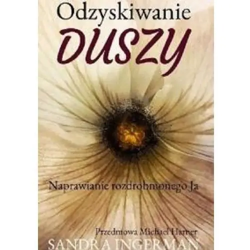 Ingerman sandra Odzyskiwanie duszy