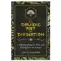 Inner traditions bear and company Druidic art of divination Sklep on-line