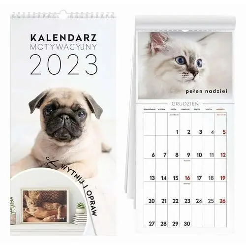 Interdruk Kalendarz 2023 motywacyjny zwierzaki