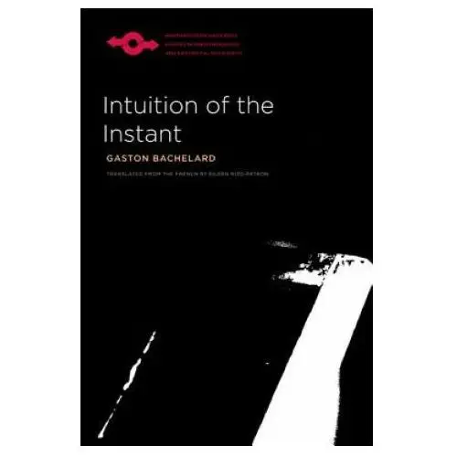 Intuition of the instant Northwestern university press