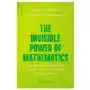 Invisible power of mathematics Springer-verlag new york inc Sklep on-line