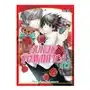 Junjo romantica 16 Ivrea Sklep on-line