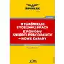 Wygaśnięcie stosunku pracy z powodu śmierci pracodawcy - nowe zasady Sklep on-line