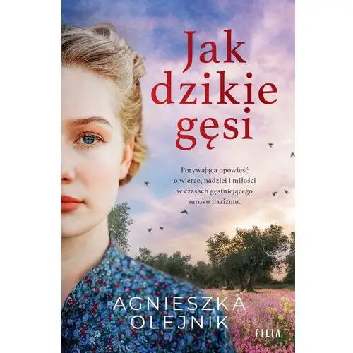 Jak dzikie gęsi (E-book)