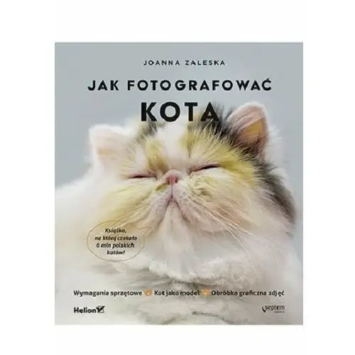 Jak fotografować kota