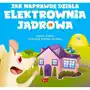 Jak naprawdę działa elektrownia jądrowa Sklep on-line