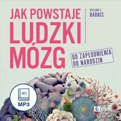 Jak powstaje ludzki mózg. Od zapłodnienia do narodzin