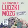 Jak powstaje ludzki mózg. Od zapłodnienia do narodzin Sklep on-line