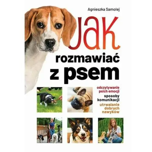 Jak rozmawiać z psem