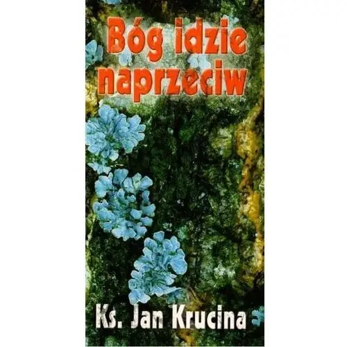 Jan krucina Bóg idzie naprzeciw