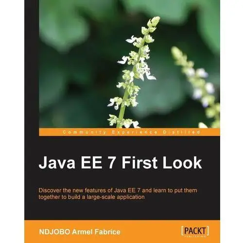 Java EE 7 First Look