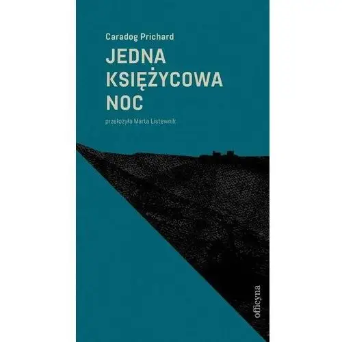 Jedna księżycowa noc