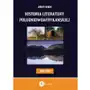 Historia literatury południowoafrykańskiej. literatura afrikaans (okres usamodzielnienia 1900-1930), AZ#12BE8F7BEB/DL-ebwm/mobi Sklep on-line